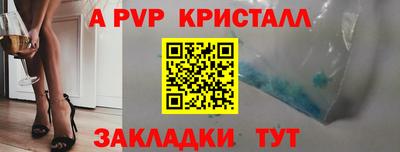 стафф Краснознаменск