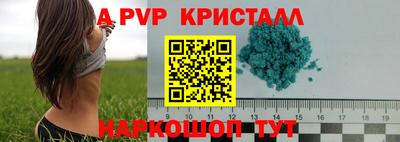 стафф Краснознаменск