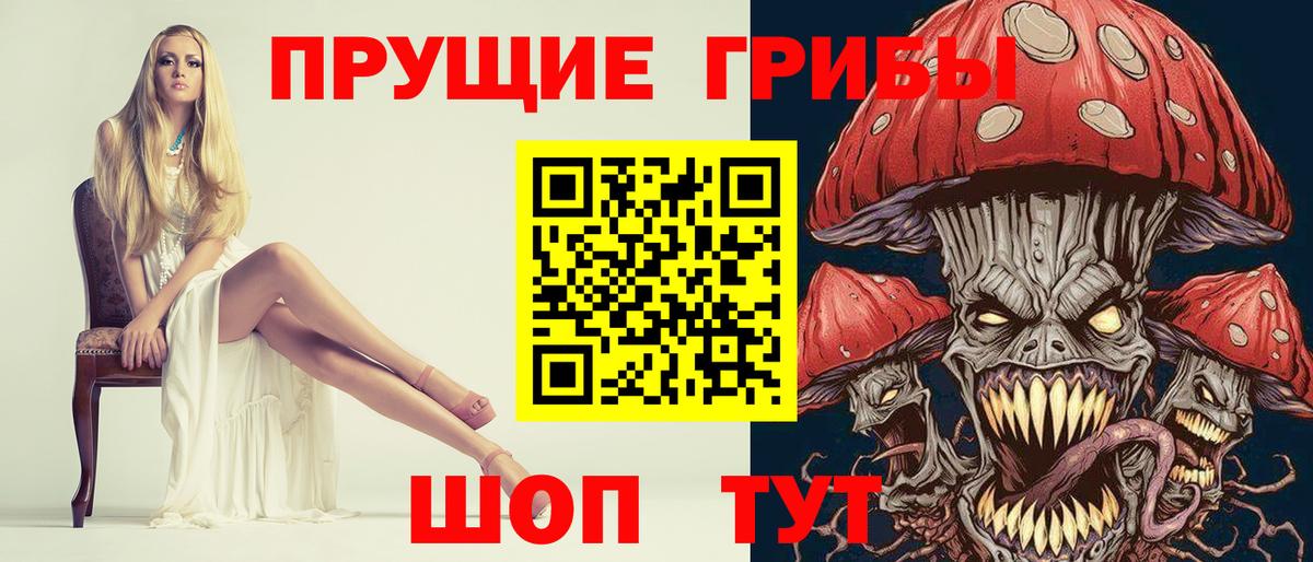 Зеленодольск  Галлюциногенные грибы прущие грибы  Вход с VPN  Галлюциногенные грибы мицелий 