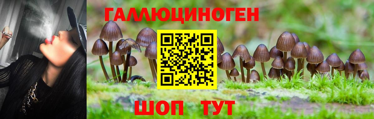 Псилоцибиновые грибы прущие грибы Зеленодольск